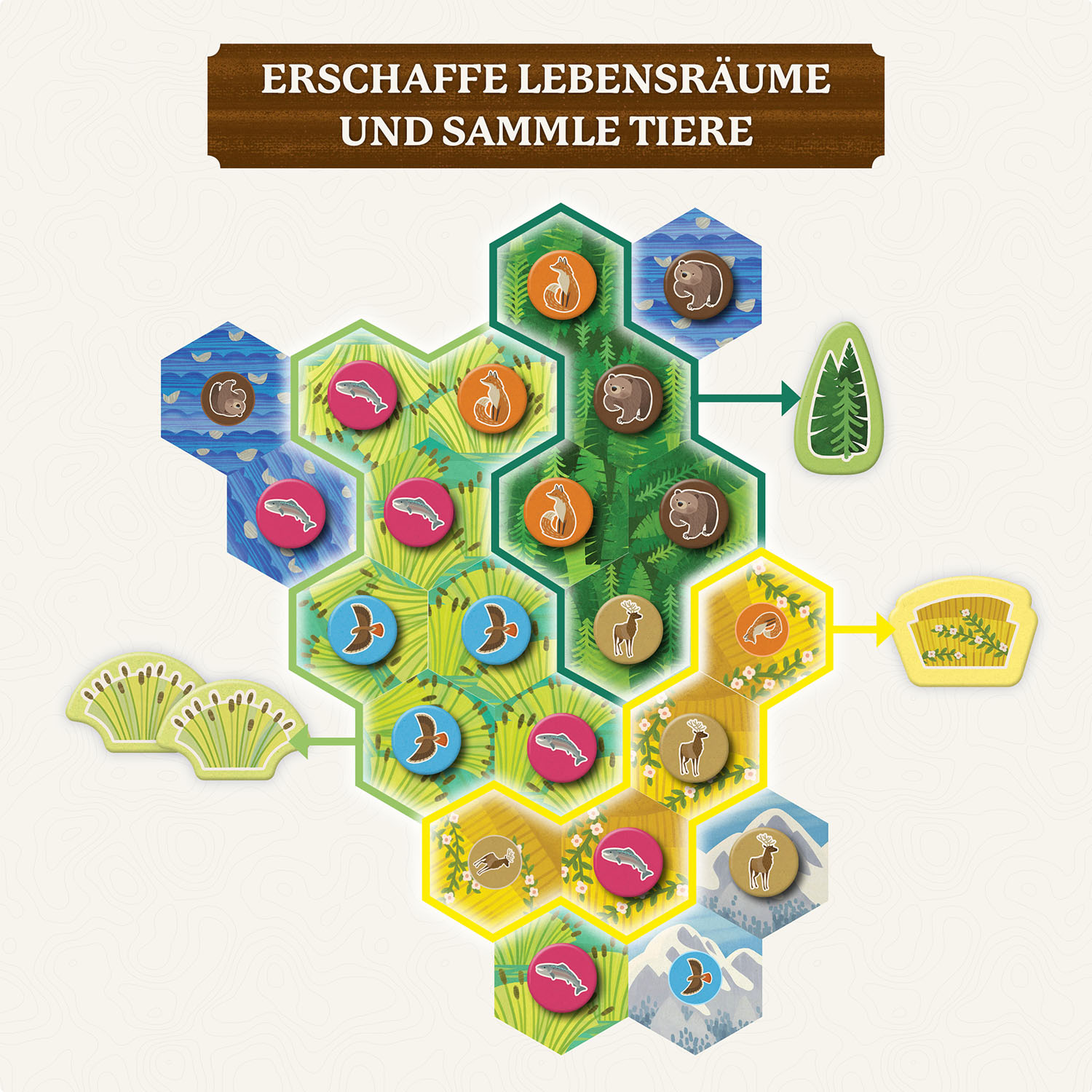 Cascadia Junior – Bild 5