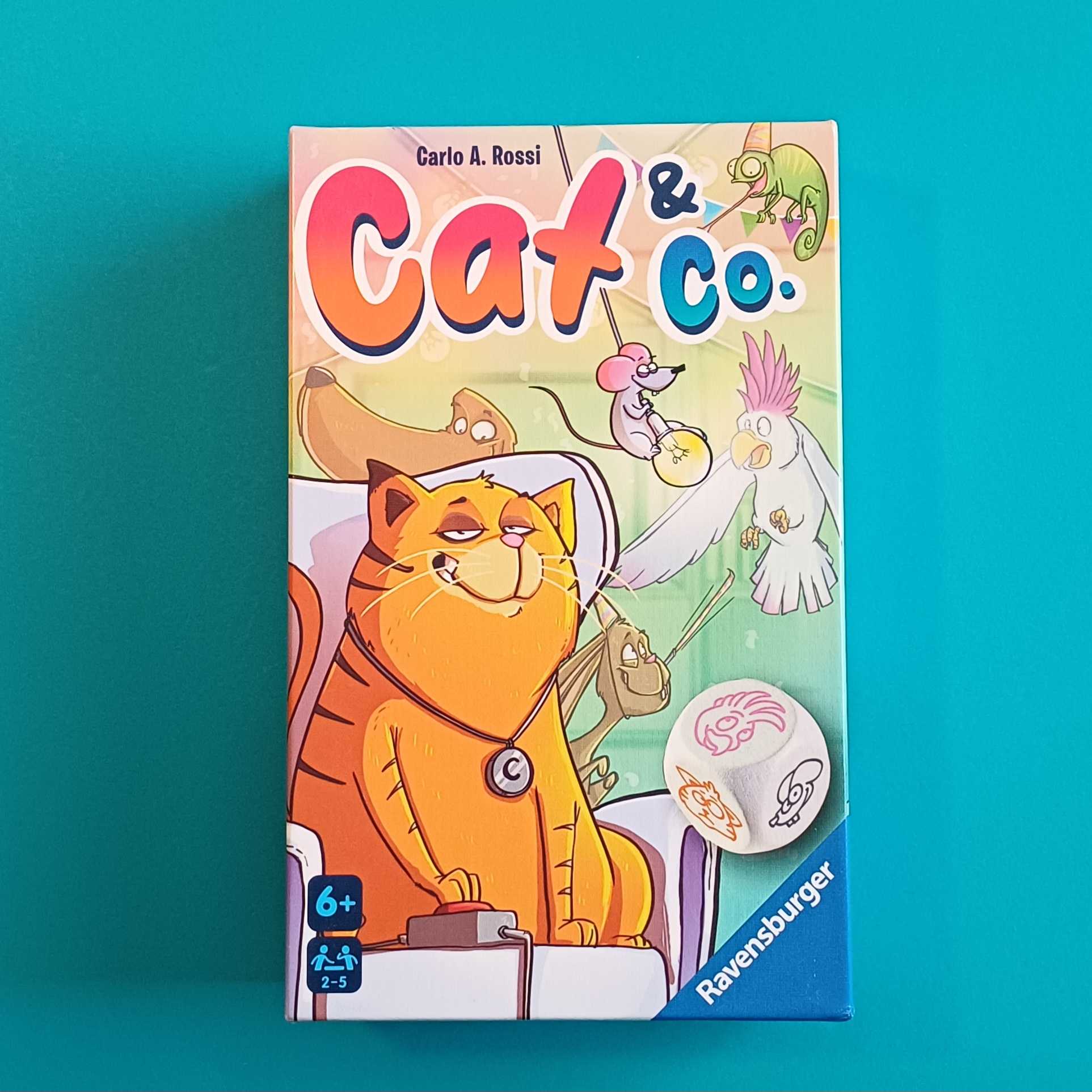 Cat & Co. – neu