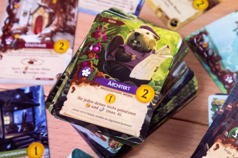 Everdell – Complete Collection - neu – Bild 3