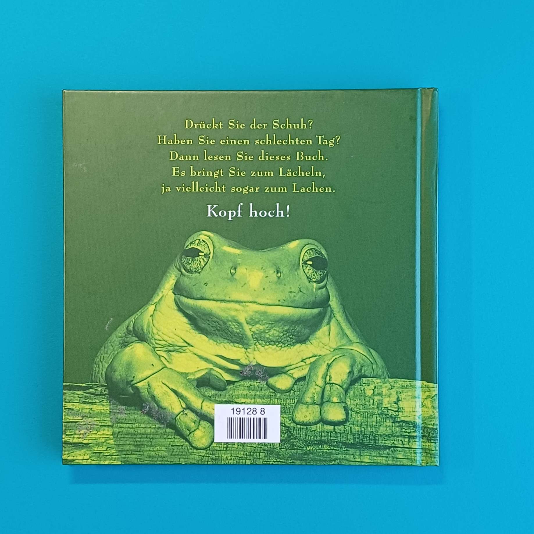 Kopf hoch! – Bradley Trevor Greive – Hardcover – gebraucht – Bild 2