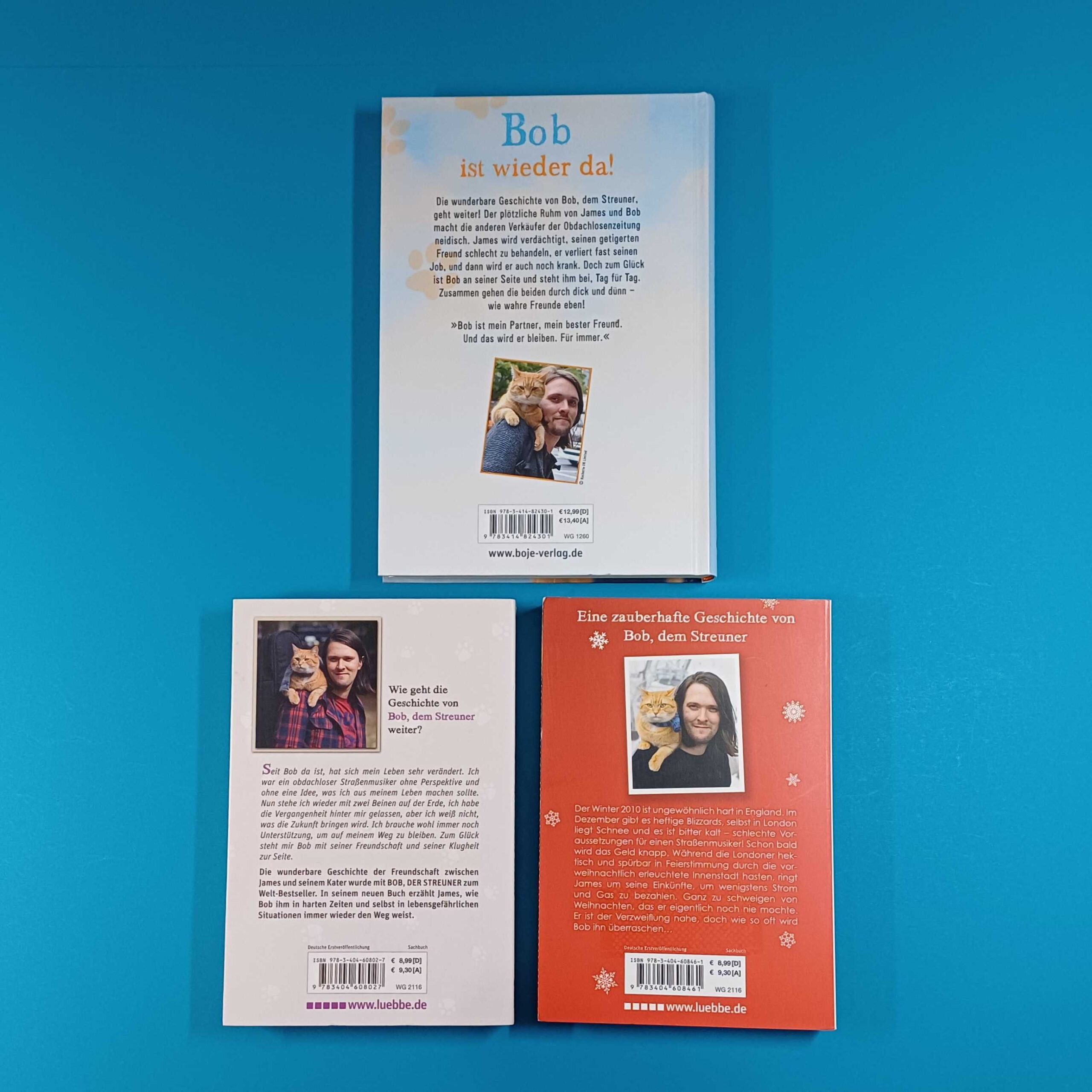 James Bowen – Bob Katzenbücher Bundle (3 Bücher) – Bild 3