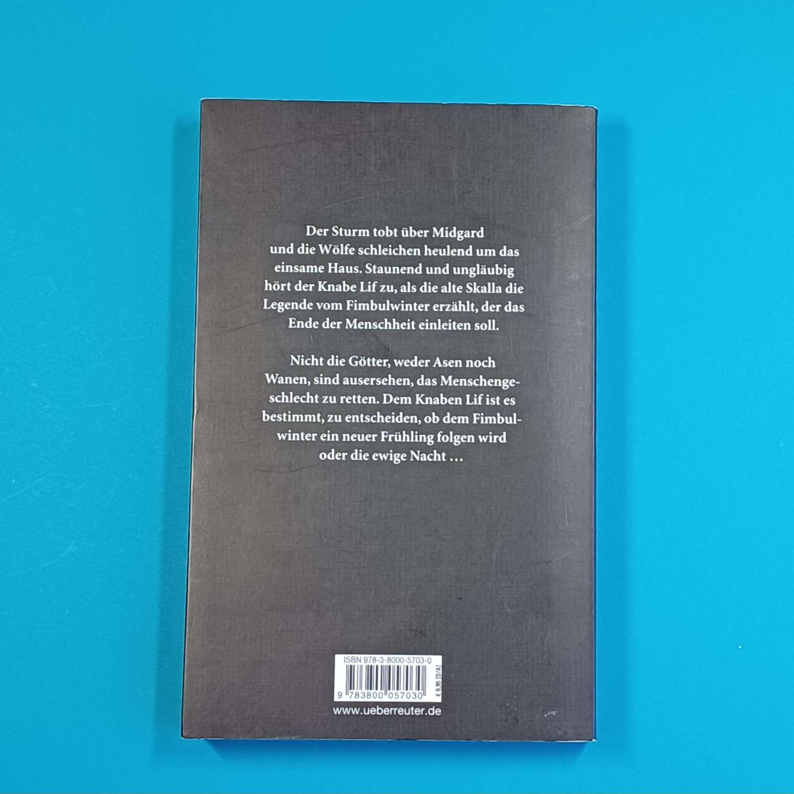 Wolfgang & Heike Hohlbein - Midgard - Taschenbuch – Bild 3