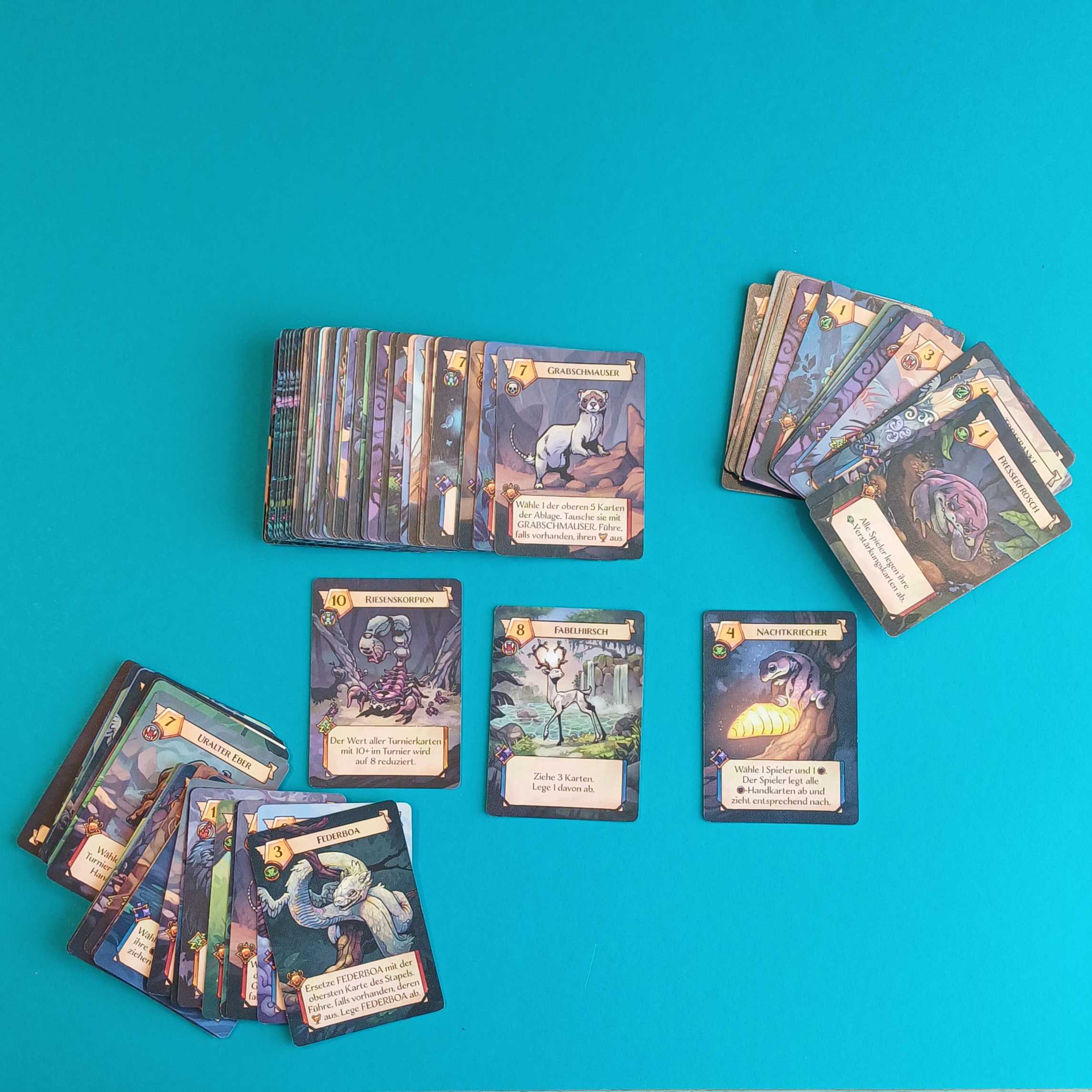 Woodland Wizards inkl. „Goldener Phönix“ Promo-Karte – Bild 4