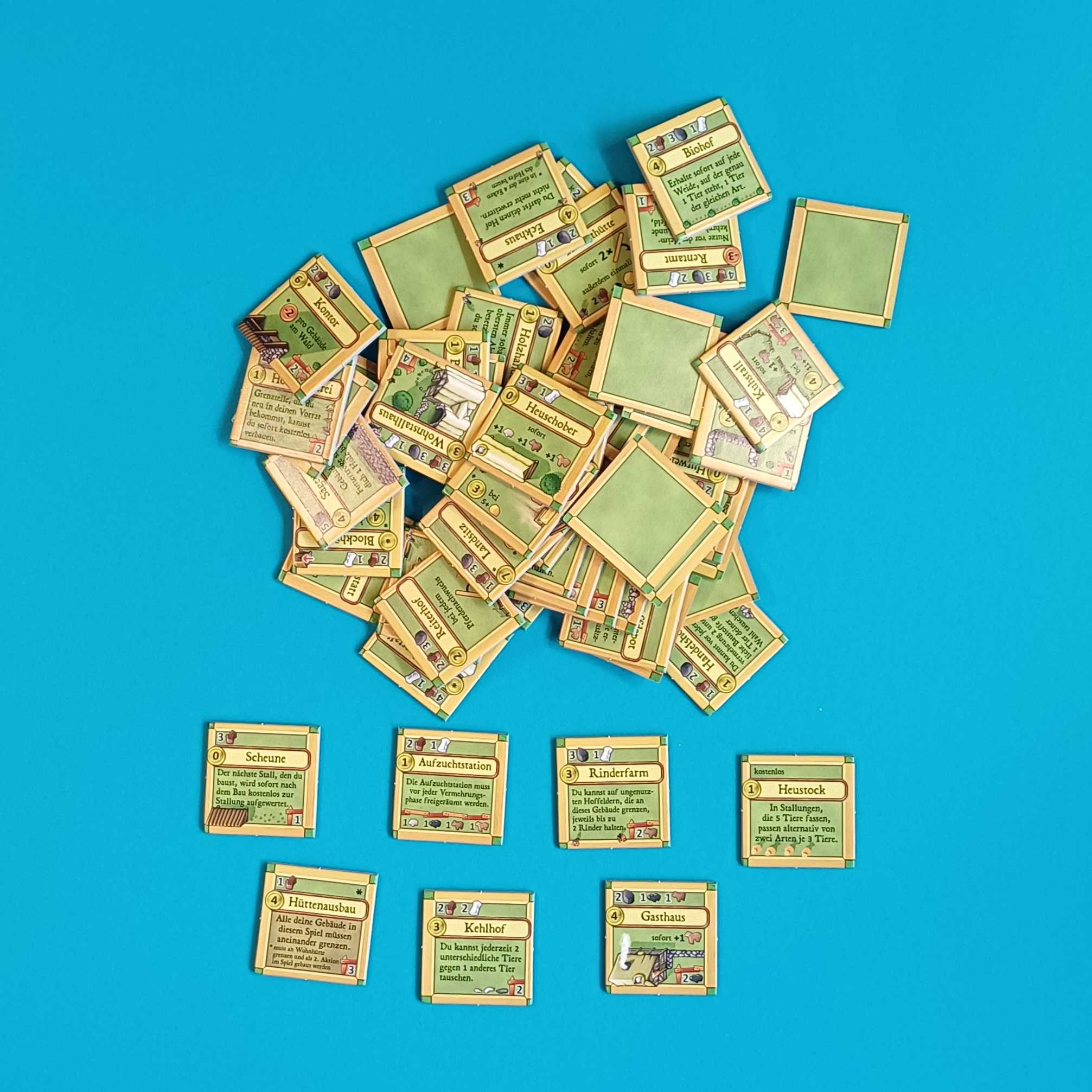 Agricola – Die Big Box – Die Bauern und das liebe Vieh – Bild 7