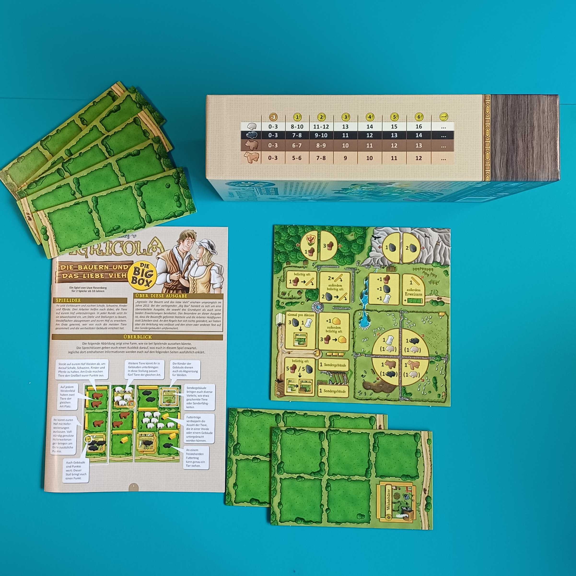 Agricola – Die Big Box – Die Bauern und das liebe Vieh – Bild 15