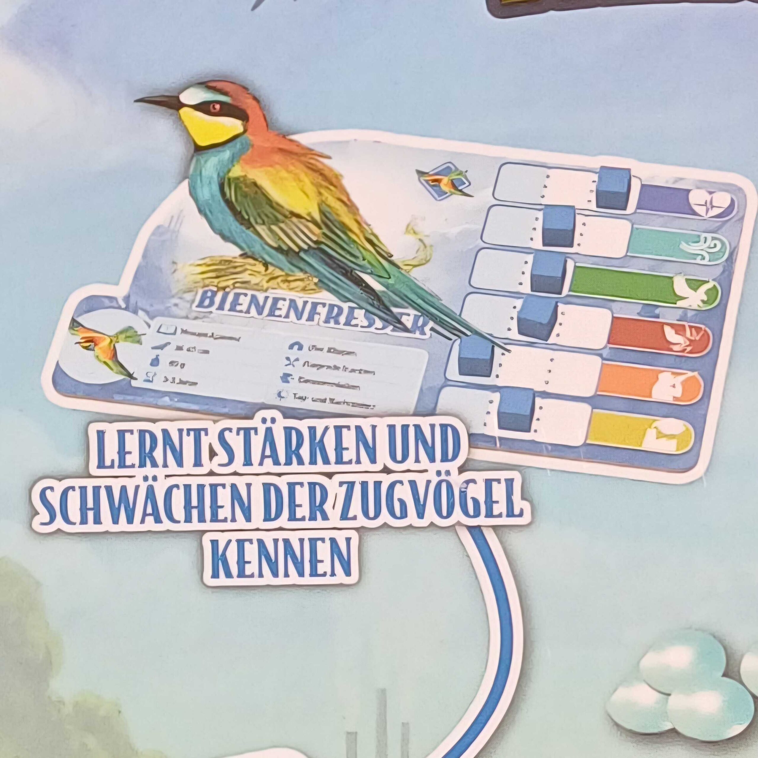 Die Grosse Reise – Bild 3