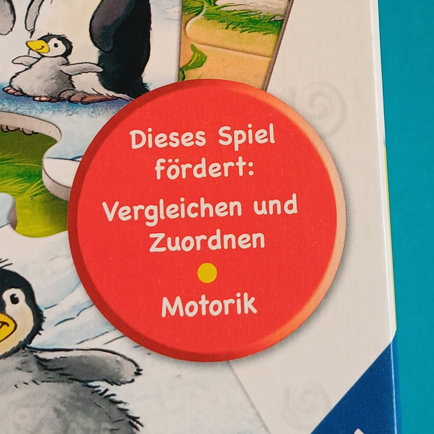 Hase hüpf! – Bild 4