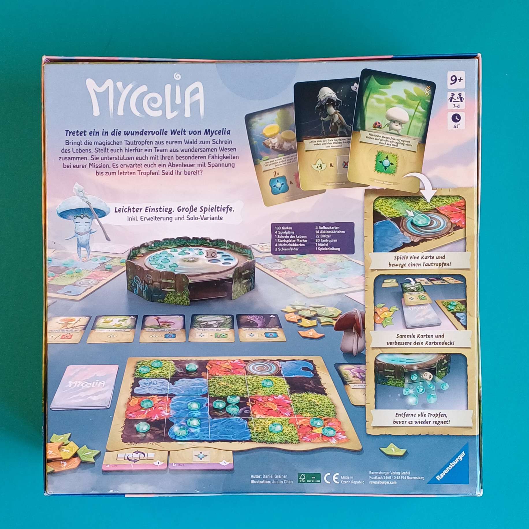 Mycelia – Bild 2