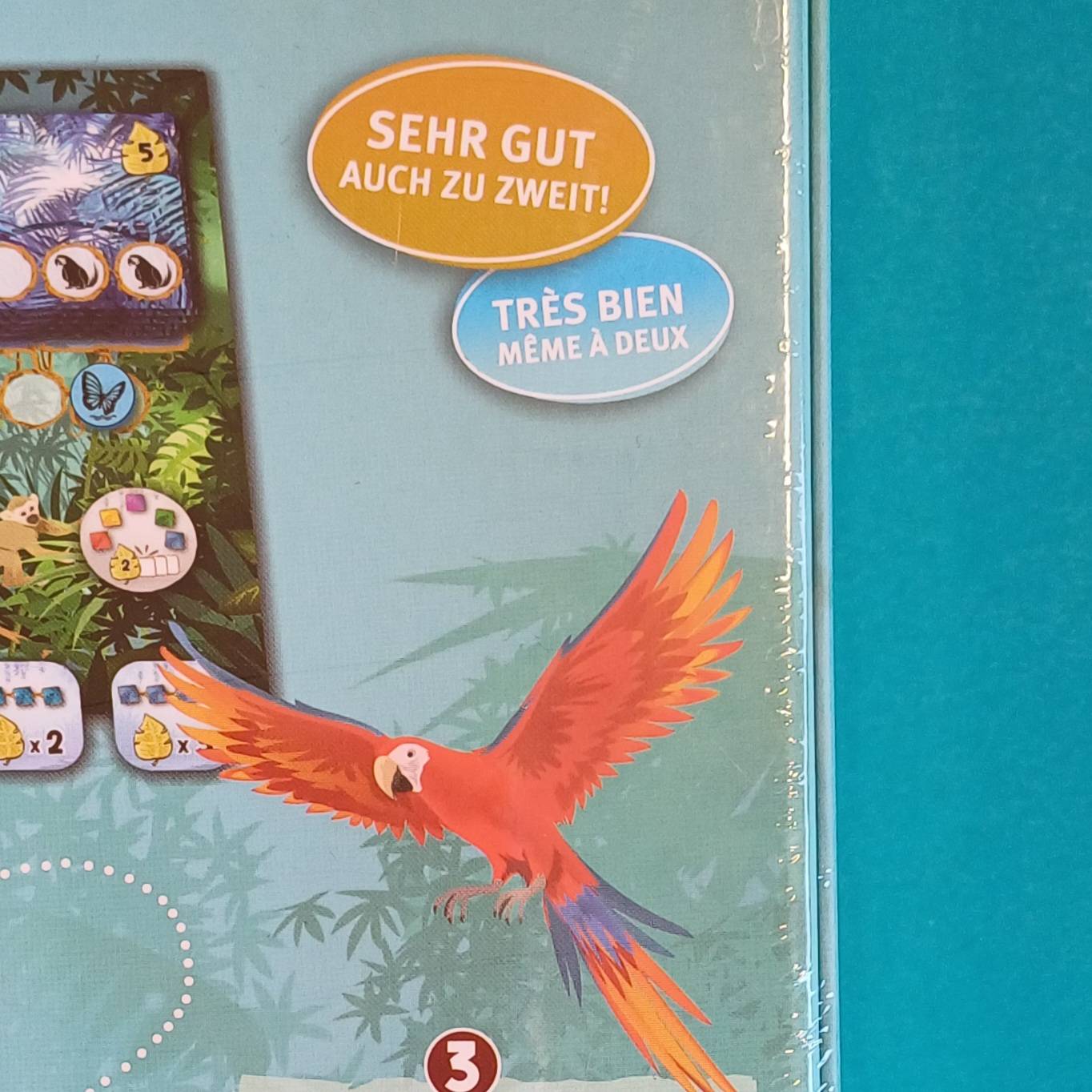 Rainforest – Bild 5