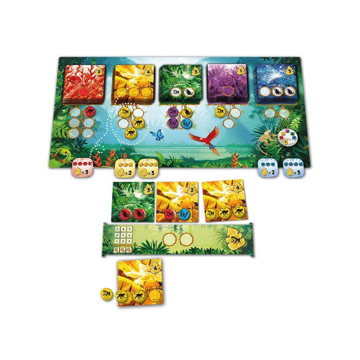 Rainforest – Bild 4