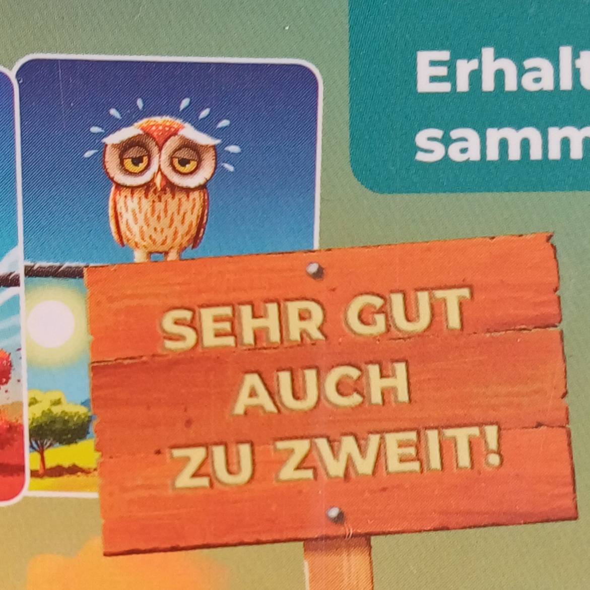 Birdie – Bild 4