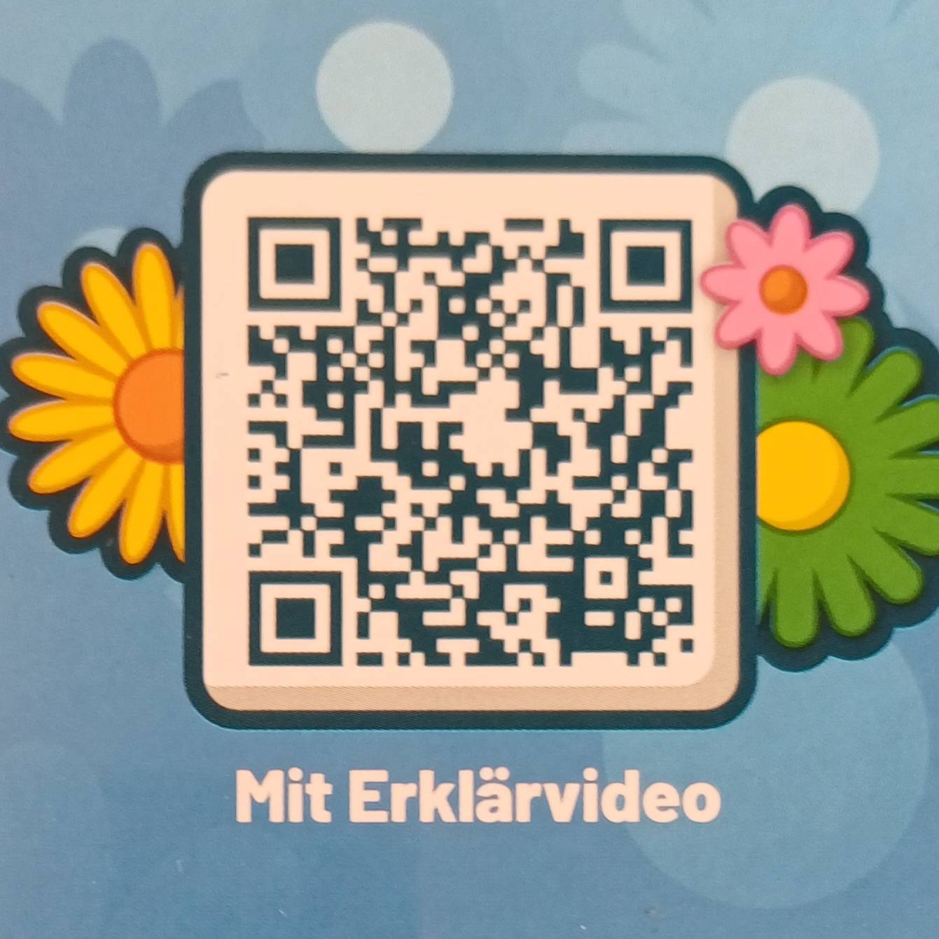 Bloom – Bild 3