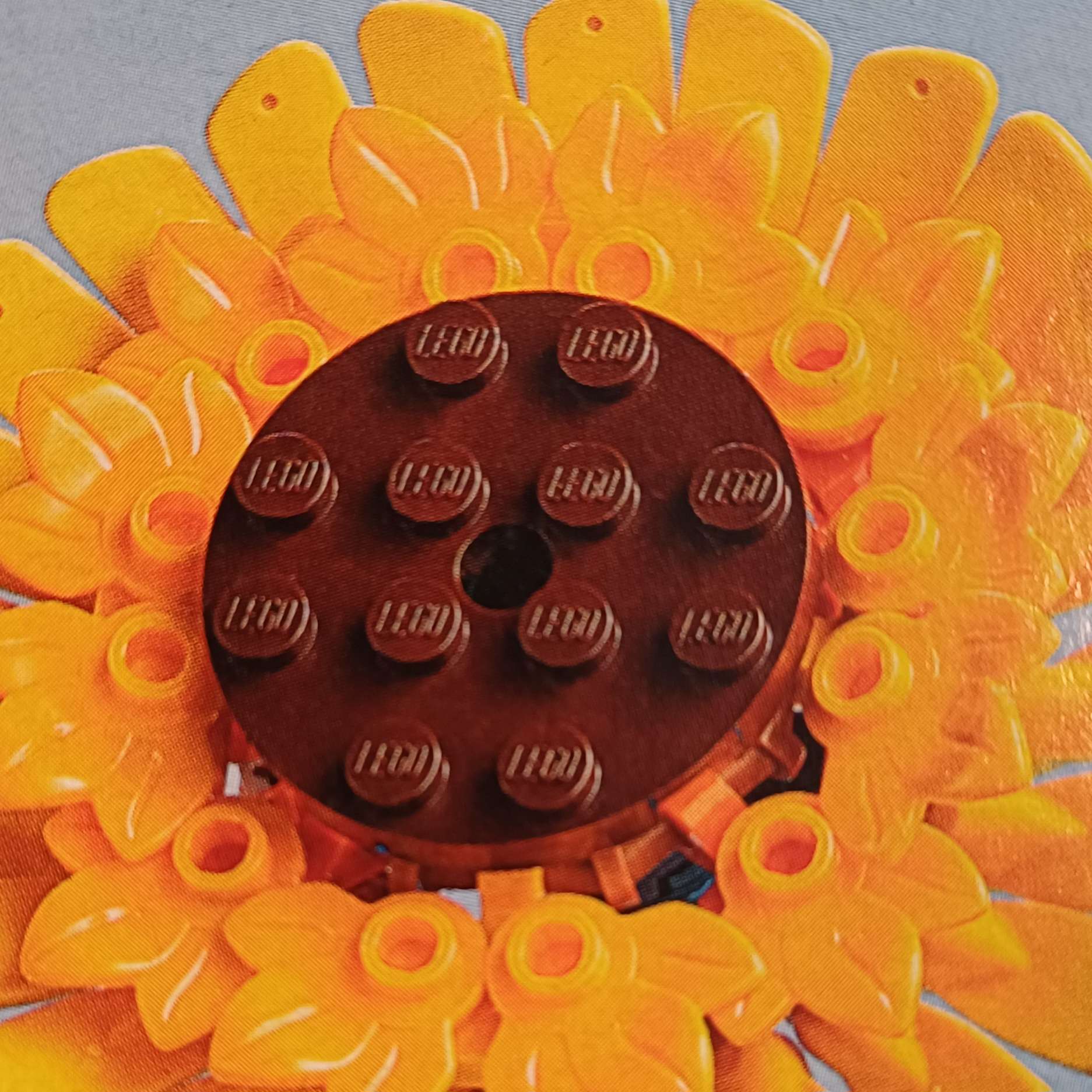 LEGO – Sonnenblumen – Nr. 40524 – 191 Teile – Bild 3